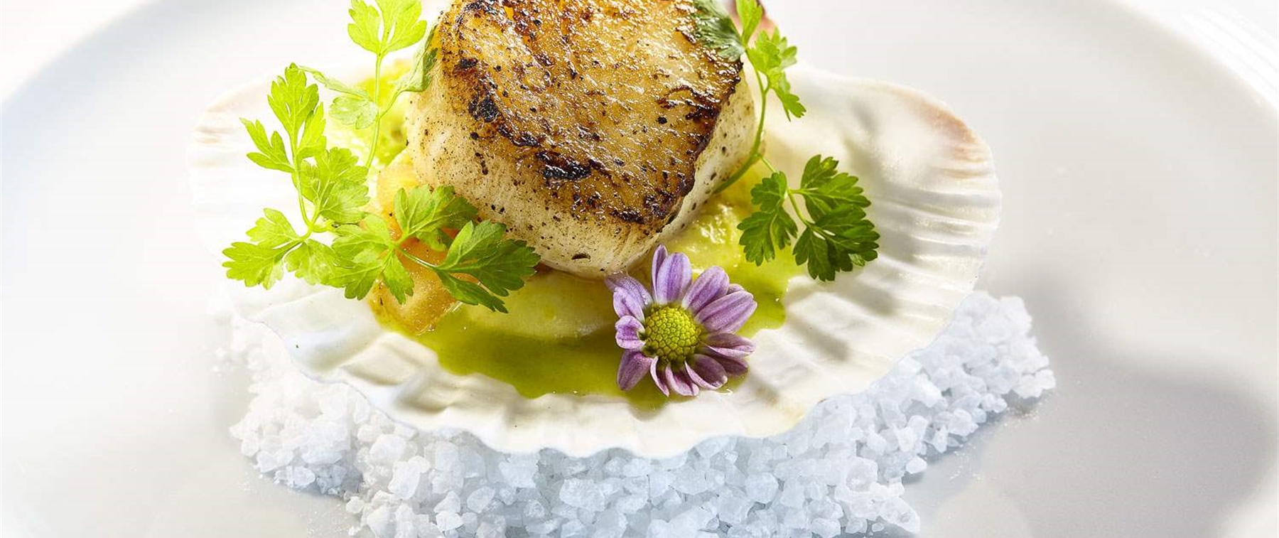 Single scallop in a shell over salt